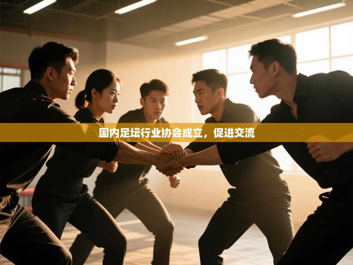 国内足坛行业协会成立,促进交流