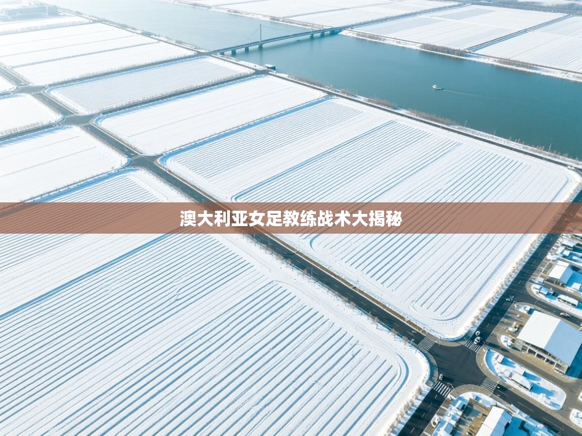 澳大利亚女足教练战术大揭秘